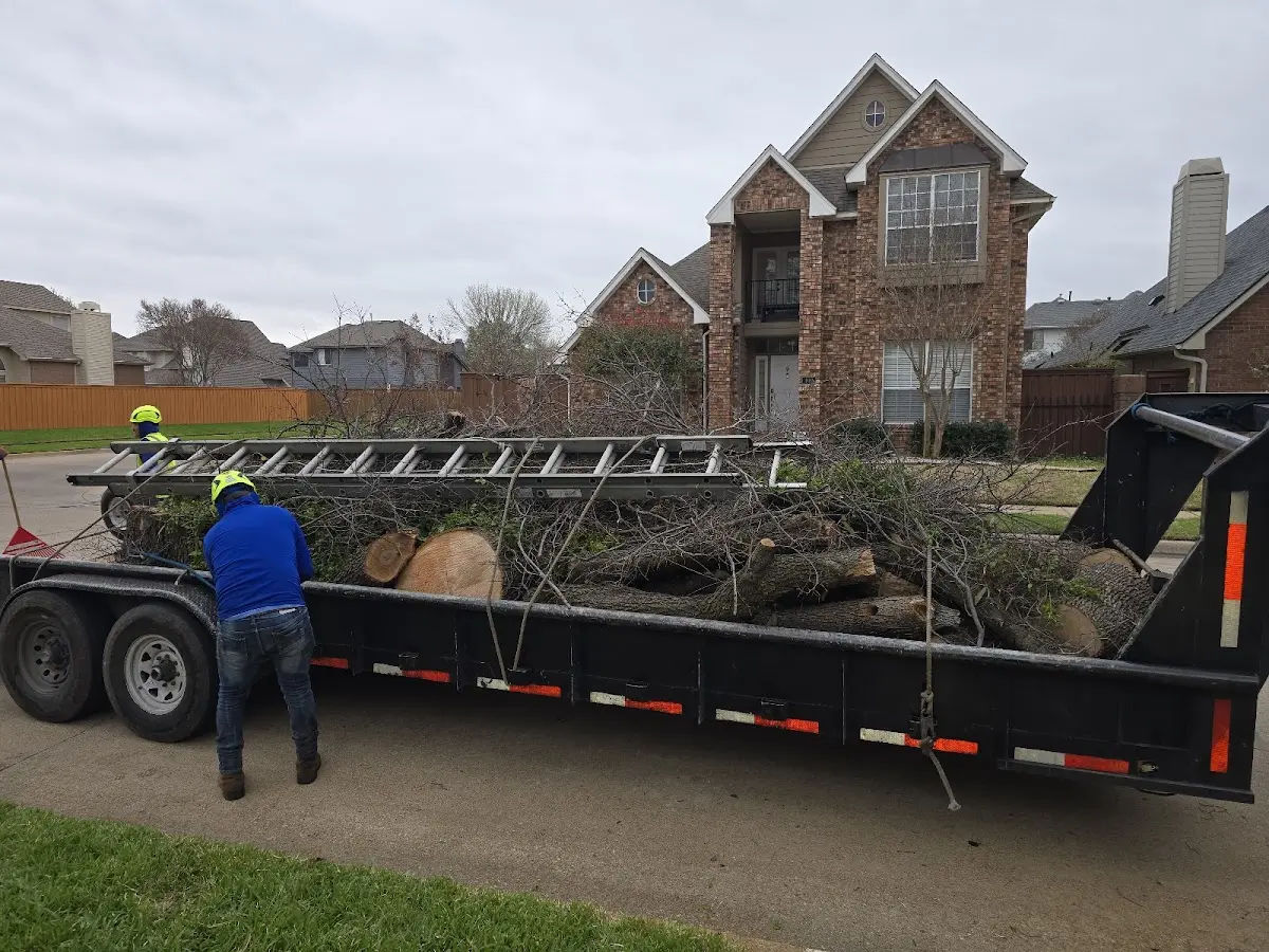 Expert Tree Fertilization with proper safety equipment in Redmond